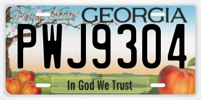 GA license plate PWJ9304