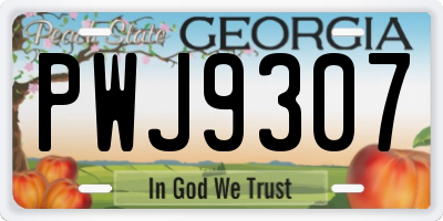 GA license plate PWJ9307