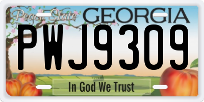 GA license plate PWJ9309