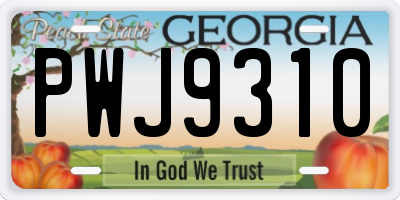 GA license plate PWJ9310