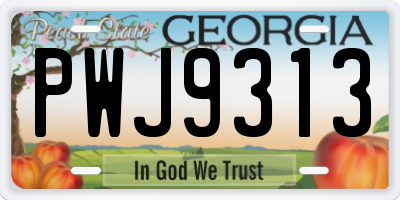 GA license plate PWJ9313