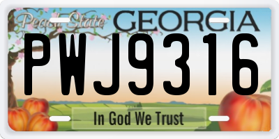GA license plate PWJ9316