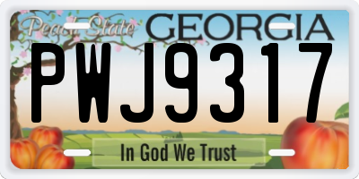 GA license plate PWJ9317