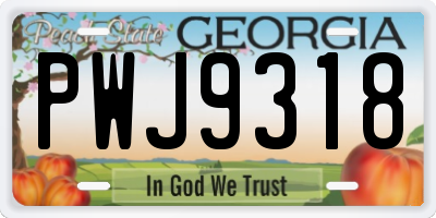 GA license plate PWJ9318