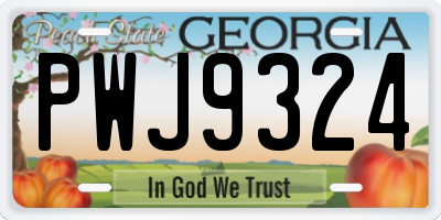 GA license plate PWJ9324