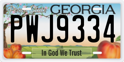 GA license plate PWJ9334