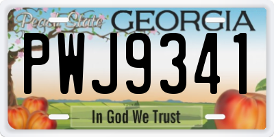 GA license plate PWJ9341