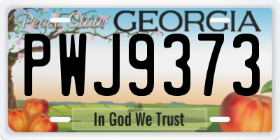 GA license plate PWJ9373