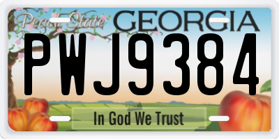 GA license plate PWJ9384