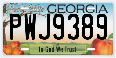 GA license plate PWJ9389