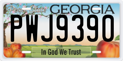 GA license plate PWJ9390
