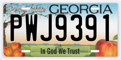 GA license plate PWJ9391