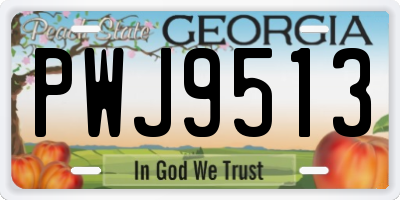 GA license plate PWJ9513