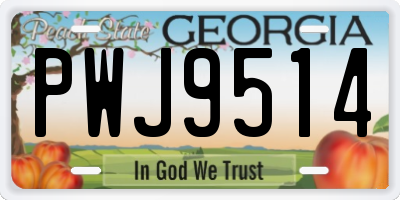 GA license plate PWJ9514