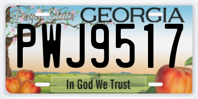 GA license plate PWJ9517