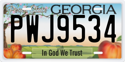 GA license plate PWJ9534