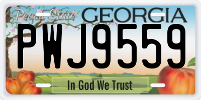 GA license plate PWJ9559