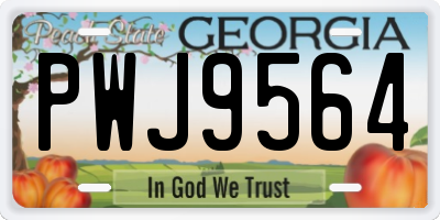 GA license plate PWJ9564
