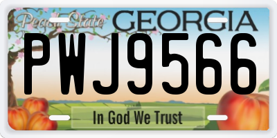 GA license plate PWJ9566