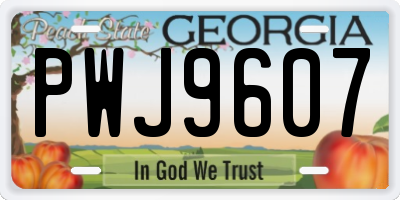 GA license plate PWJ9607