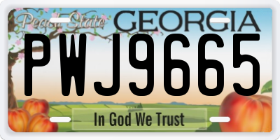GA license plate PWJ9665