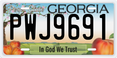 GA license plate PWJ9691
