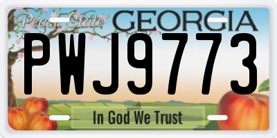 GA license plate PWJ9773