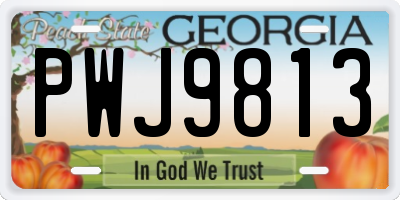 GA license plate PWJ9813