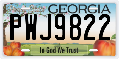 GA license plate PWJ9822