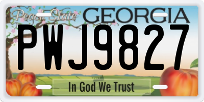 GA license plate PWJ9827