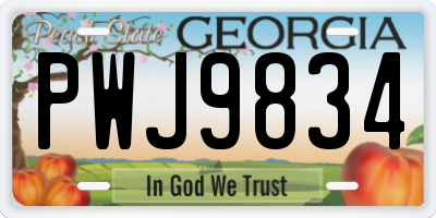 GA license plate PWJ9834