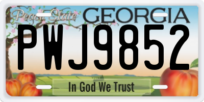 GA license plate PWJ9852