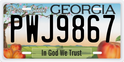 GA license plate PWJ9867