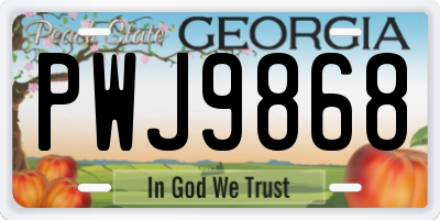 GA license plate PWJ9868
