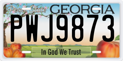 GA license plate PWJ9873