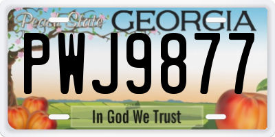 GA license plate PWJ9877