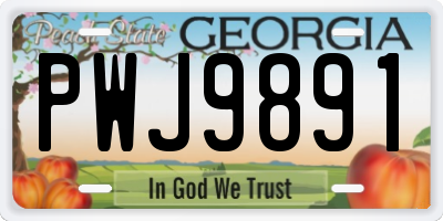 GA license plate PWJ9891