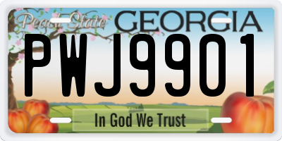 GA license plate PWJ9901