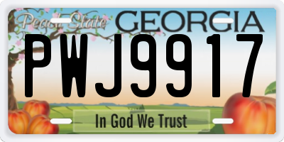 GA license plate PWJ9917