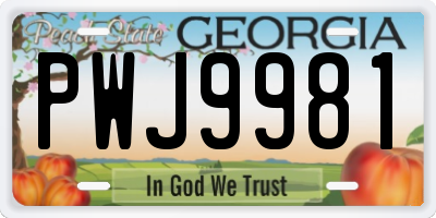 GA license plate PWJ9981