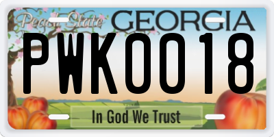 GA license plate PWK0018
