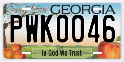 GA license plate PWK0046