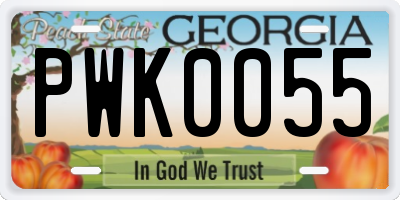 GA license plate PWK0055