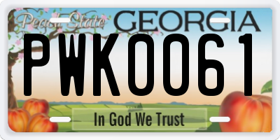 GA license plate PWK0061