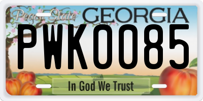 GA license plate PWK0085
