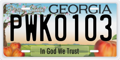 GA license plate PWK0103