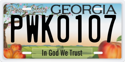 GA license plate PWK0107