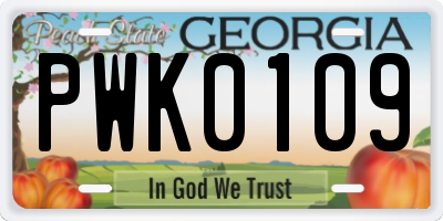 GA license plate PWK0109
