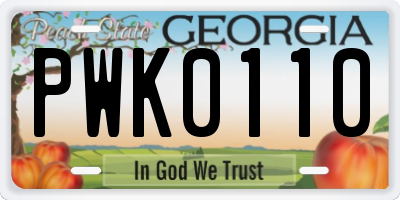 GA license plate PWK0110