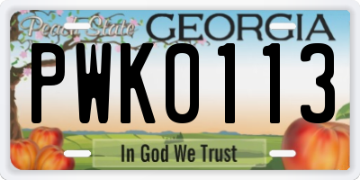 GA license plate PWK0113